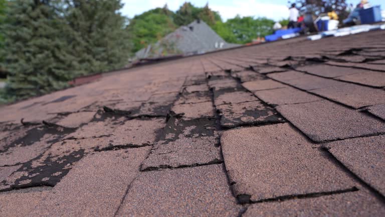 Best Gutter Installation and Repair  in Lula, GA