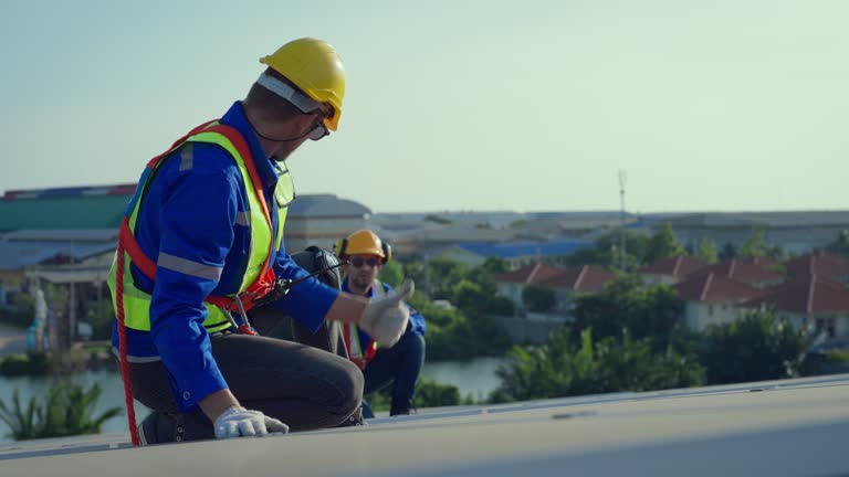 Best Chimney Flashing Repair  in Lula, GA