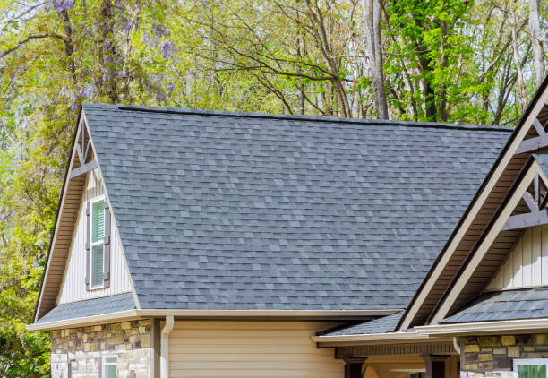 Best Roof Insulation Installation  in Lula, GA