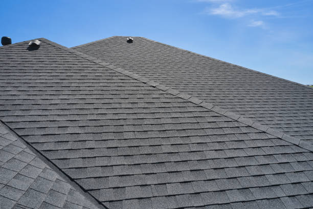 Best Rubber Roofing (EPDM, TPO)  in Lula, GA