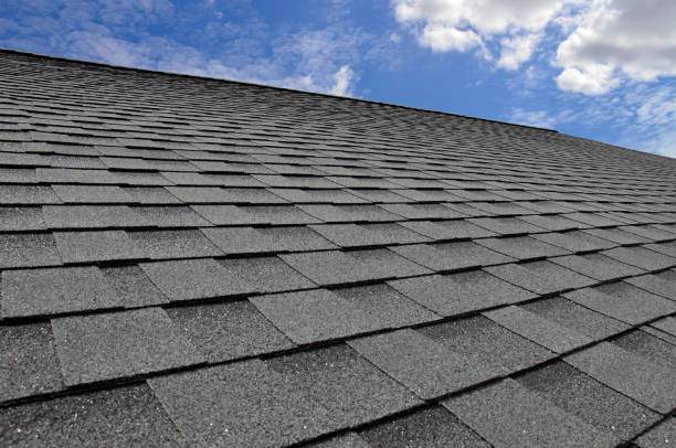 Roof Coating Services in Lula, GA
